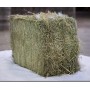 Meadow Hay ToutBio