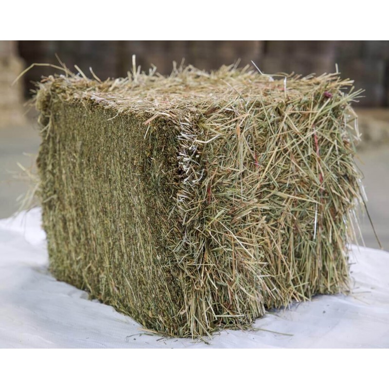 Hay of Crau primeiro corte ToutBio