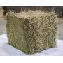 Hay of Crau primeiro corte ToutBio