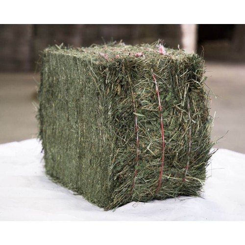 Crau hay third cut ToutBio Crau hay third cut ToutBio