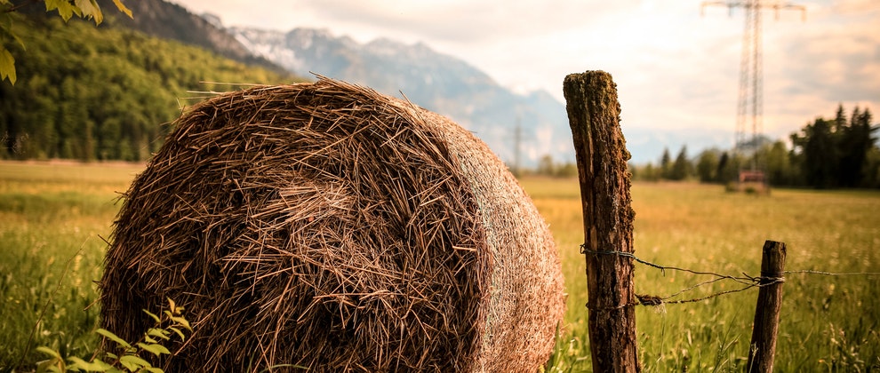 Hay, alfalfa, straw and litter